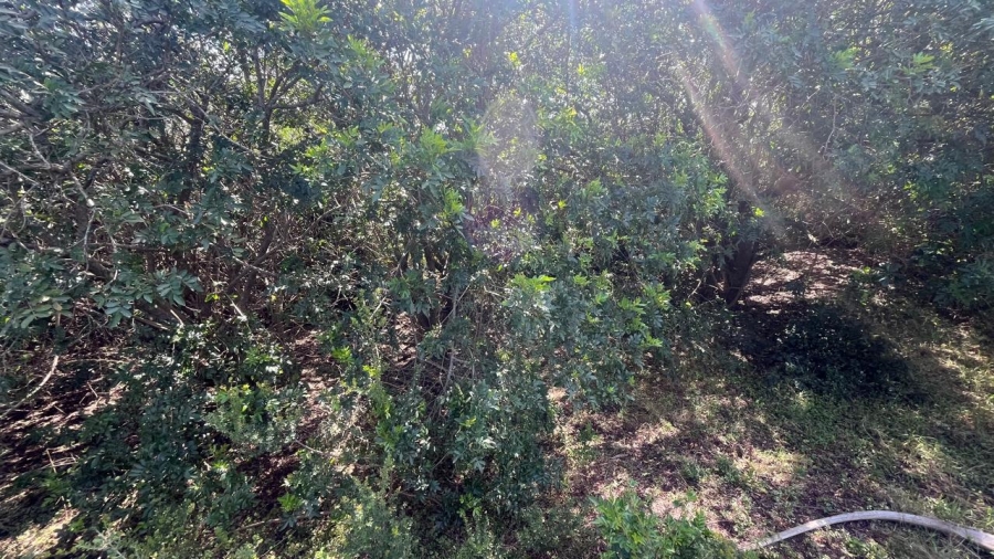 Commercial Property for Sale in Paradise Beach Eastern Cape